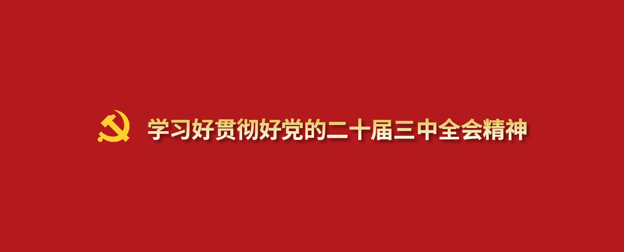 学习好贯彻好党的二十届三中全会精神pad