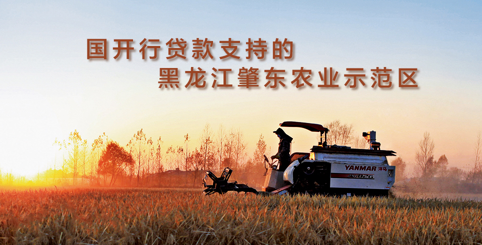 国开行贷款支持的黑龙江肇东农业示范区