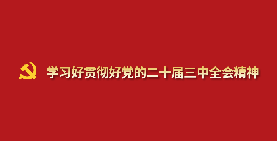 学习好贯彻好党的二十届三中全会精神wap